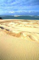 dune