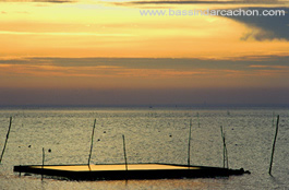 rencontres du tourisme bassin d'arcachon