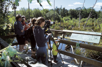 Observatoire du parc du Teich