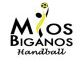 US Mios/Biganos handball
