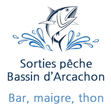 Sortie pêche bar thon Bassin d'Arcachon